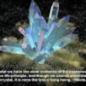 Meet your Posher, Rosanna